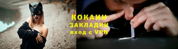 прущие грибы Абдулино