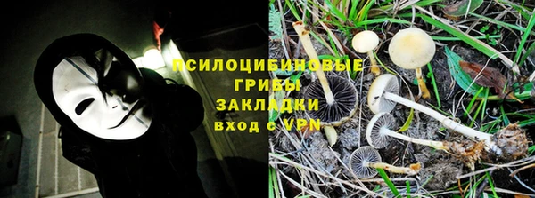 прущая мука Абаза