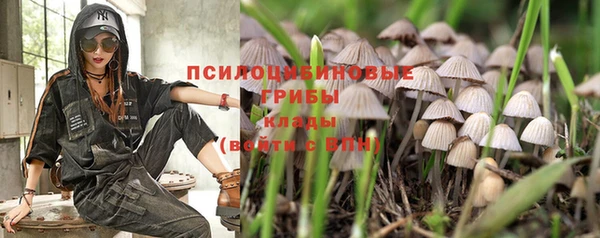прущая мука Абаза