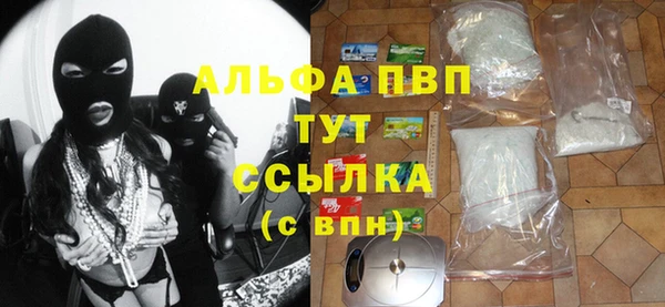 прущие грибы Абдулино