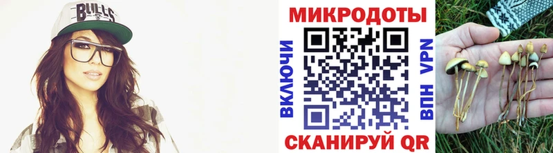 Псилоцибиновые грибы Psilocybe даркнет Telegram Нефтекамск
