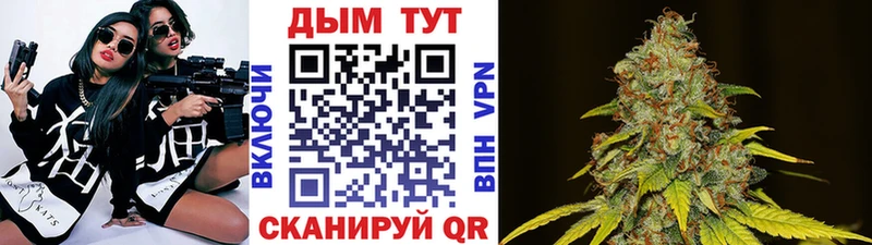 Шишки марихуана марихуана  Нефтекамск 